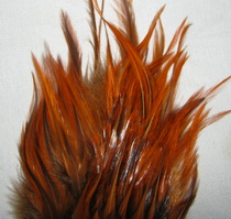 Strong rooster saddle  �����